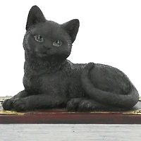 4.5" Black Cat with Books Tabletop Décor by Ashland®