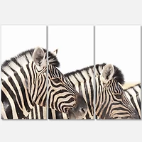 Designart - Zebras in A Row in Grassland