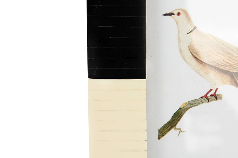 Hello Honey® Black & White 4" x 6" Photo Frame