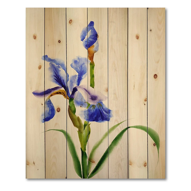 Designart - Retro Blue Iris Flower