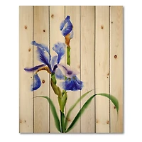 Designart - Retro Blue Iris Flower