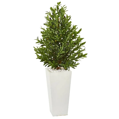 4ft. Olive Cone Topiary Tree in White Planter