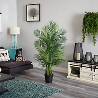 5.5ft. Potted Areca Palm Tree 