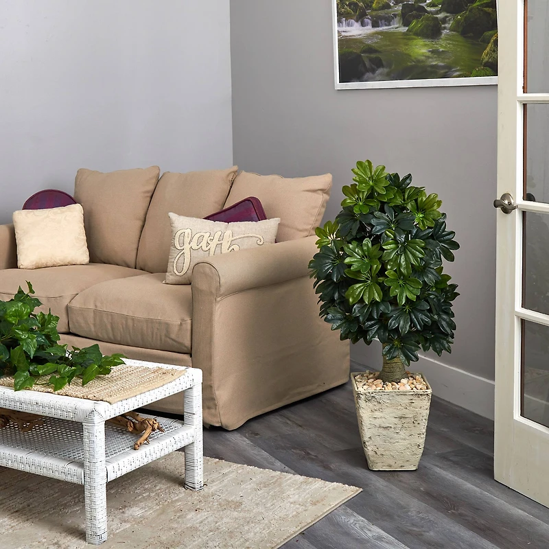 3.5ft. Umbrella Tree in Country White Planter