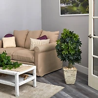 3.5ft. Umbrella Tree in Country White Planter