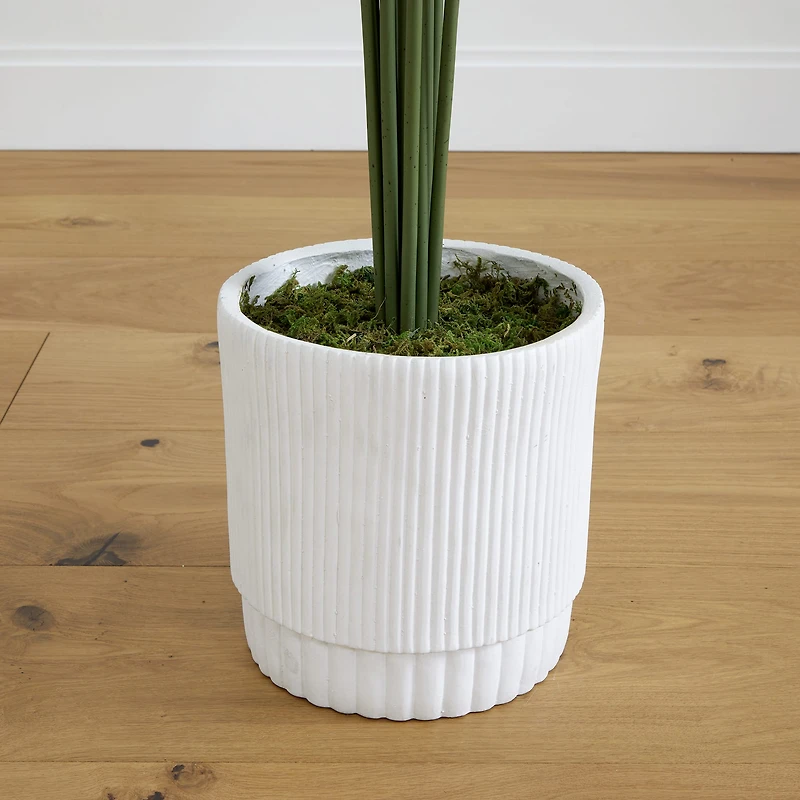 6ft. Artificial Paradise Palm with White Decorative Planter