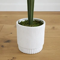 6ft. Artificial Paradise Palm with White Decorative Planter