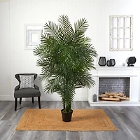 6.5ft. Potted Areca Palm