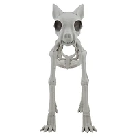 5ft. Oversized Posable Cat Skeleton by Ashland®
