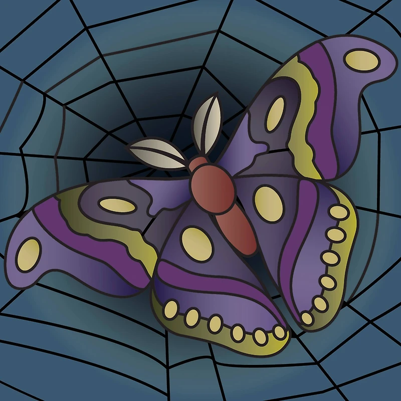 5" x 5" Moth in Web Canvas Painting Kit by Craft Smart®