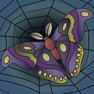 5" x 5" Moth in Web Canvas Painting Kit by Craft Smart®