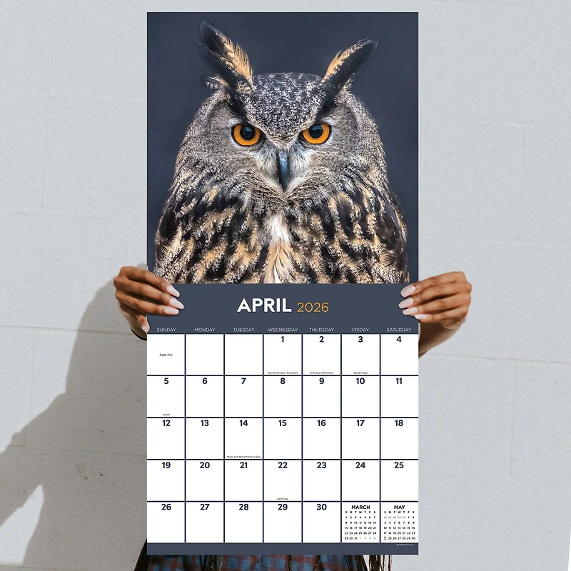 2026 Owls Wall Calendar