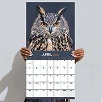 2026 Owls Wall Calendar