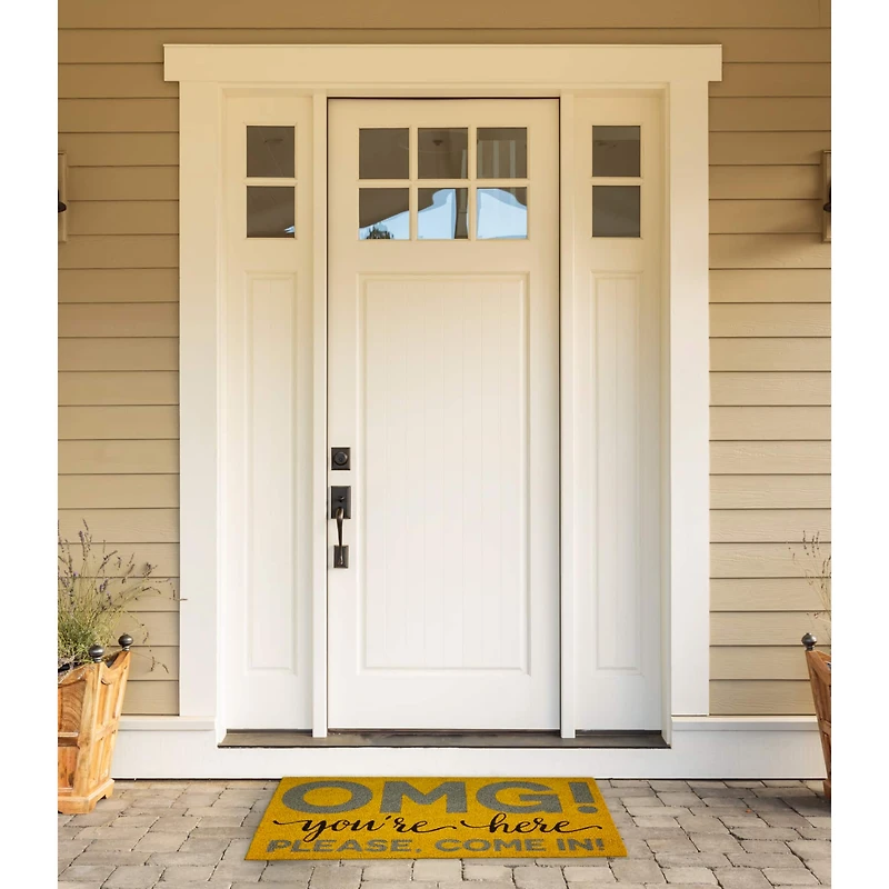 OMG You're Here Doormat 18" x 30"