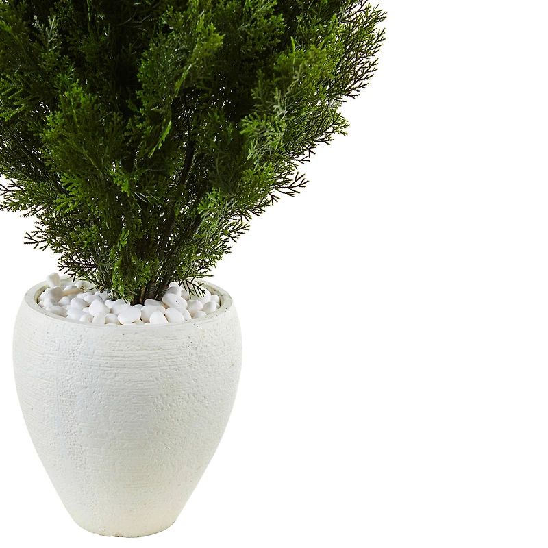 3ft. Cedar in Oval Textured Planter