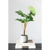 Hello Honey® Faux Plant In Cement Pot