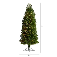 6ft. Pre-Lit Slim Virginia Spruce Artificial Christmas Tree, Warm White LED Lights