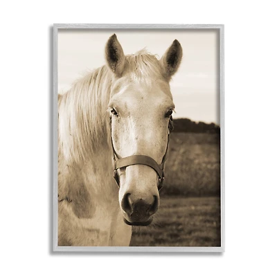Stupell Industries Rustic Sepia tone Portrait of White Horse in Gray Frame Wall Art