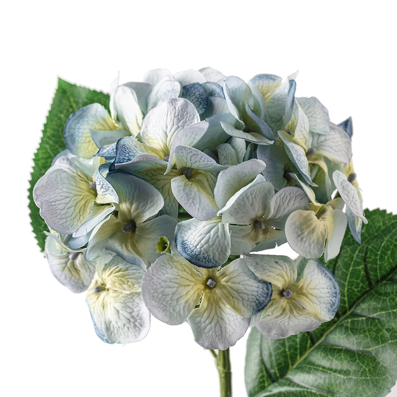 12 Pack: Blue & Green Hydrangea Stem by Ashland®