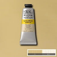 Winsor & Newton™ Galeria Acrylic