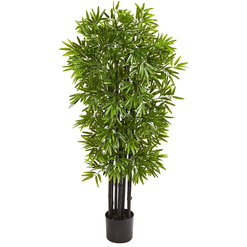 4ft. Potted Bamboo Tree with Black Trunks