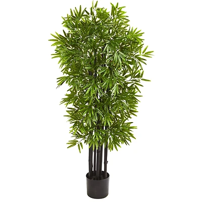 4ft. Potted Bamboo Tree with Black Trunks