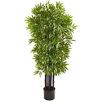 4ft. Potted Bamboo Tree with Black Trunks