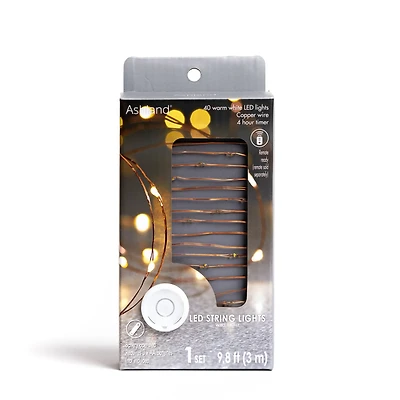 40ct. Warm White Copper Wire LED String Lights by Ashland®