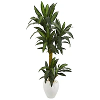 5ft. Yucca Plant in White Planter