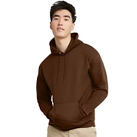 Hanes Men's EcoSmart Pullover Hoodie
