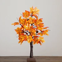 2ft. Pre-Lit Autumn Maple Artificial Fall Tree with Acorns & Pinecones and 18 Warm White LED Lights