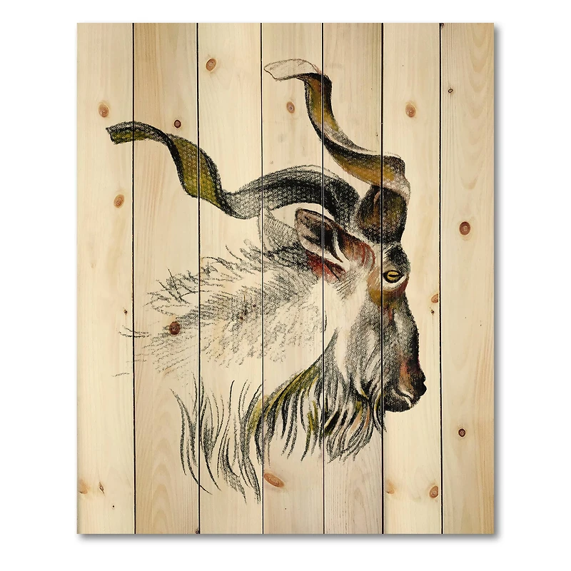 Designart - Monochrome Portrait Of Goat II