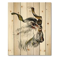 Designart - Monochrome Portrait Of Goat II