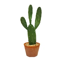 16" Potted Cactus Tabletop Décor by Ashland®