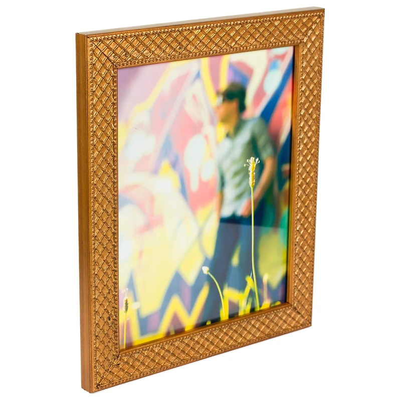 Craig Frames Lenox Antique Gold Picture Frame