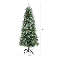 6ft. Pre-Lit British Columbia Mountain Pine Artificial Christmas Tree, Clear LED Lights