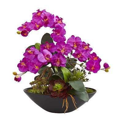 21" Moth Orchid & Mixed Succulent Garden Arrangement in Black Vase