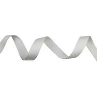 1" Belting Trim by Celebrate It