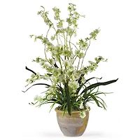 2ft. Dancing Lady Orchid Arrangement in Ceramic Vase