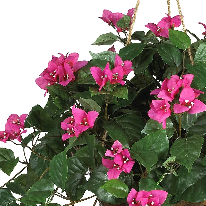 24" Pink Bougainvillea Hanging Basket
