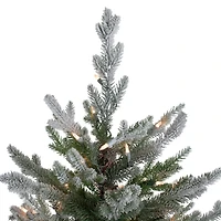 6.5ft. Pre-Lit Real Touch™️ Flocked Little River Fir Artificial Christmas Tree, Clear Lights