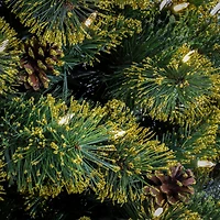 7ft. Pre-Lit Maine Pine Artificial Christmas Tree, Warm White LED Lights