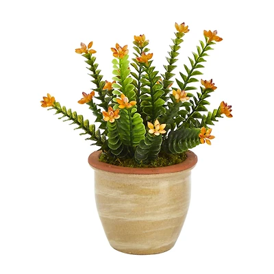 10" Flowering Sedum Succulent Plant in Ceramic Planter