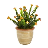 10" Flowering Sedum Succulent Plant in Ceramic Planter