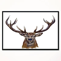 Designart - Deer Head in Front Illustration