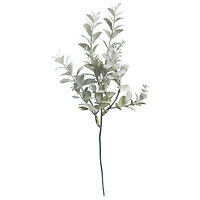 12" Green & Cream Boxwood Pick by Ashland®