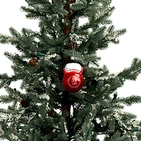 3.75" Red Glass Kettlebell Ornament by Ashland®