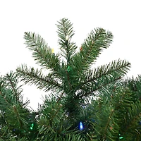 5.5ft. Pre-Lit Salem Pine Artificial Christmas Tree