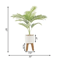 Flora Bunda® 2.5ft. Palm in Illuminati Ceramic Pot on Stand