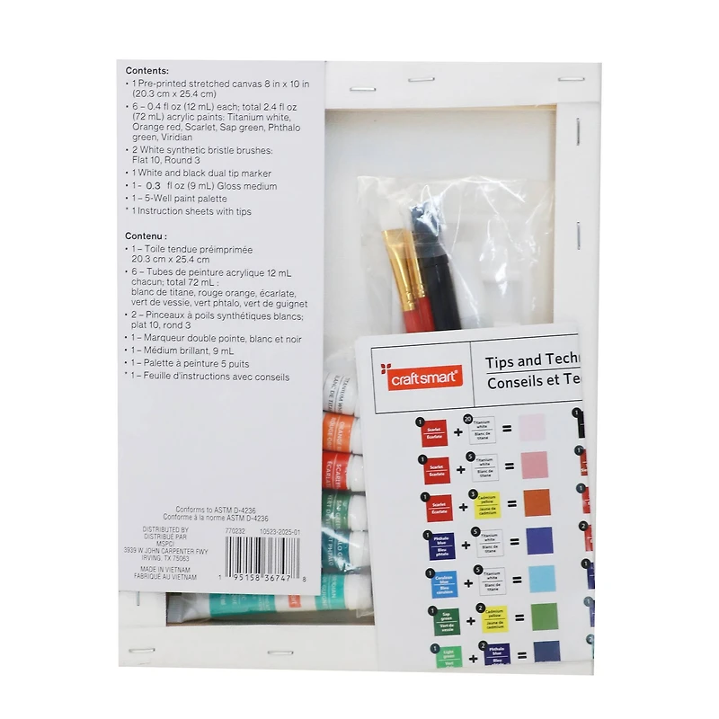 8" x 10" Koi Fish Canvas Painting Kit by Craft Smart®